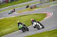 Advanced Group Green Bikes